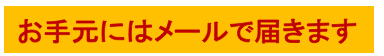認知機能重点脳トレ